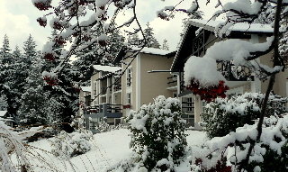 General view
General view
di Aldea Andina Resort