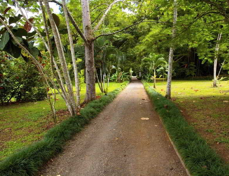 General view
General view
di Maquenque Ecolodge