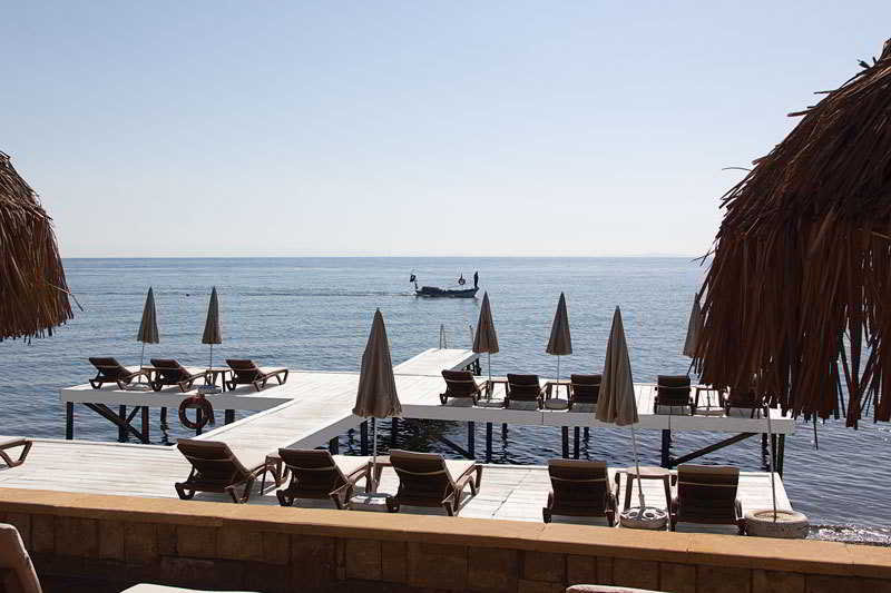 Beach
Beach
di Palace Hotel Olive Odore