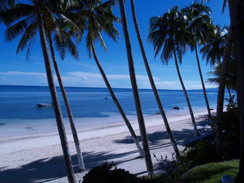 General view
General view
di Anda White Beach Resort
