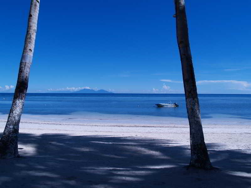 General view
General view
di Anda White Beach Resort