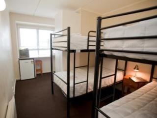 General view
General view
di City Lodge Backpackers Accommodation