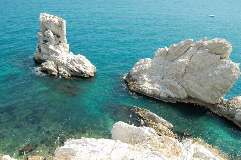 Room
Room
di Green Garden Camping Village