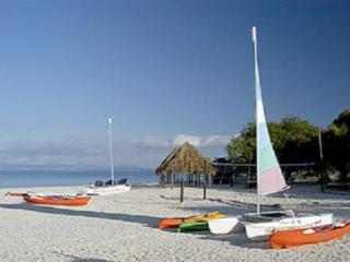 Sports and Entertainment
Sports and Entertainment
di Bounty Island