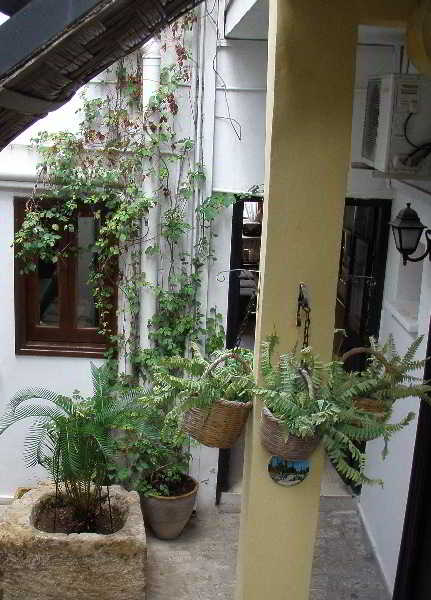 General view
General view
di Nostalgia Court