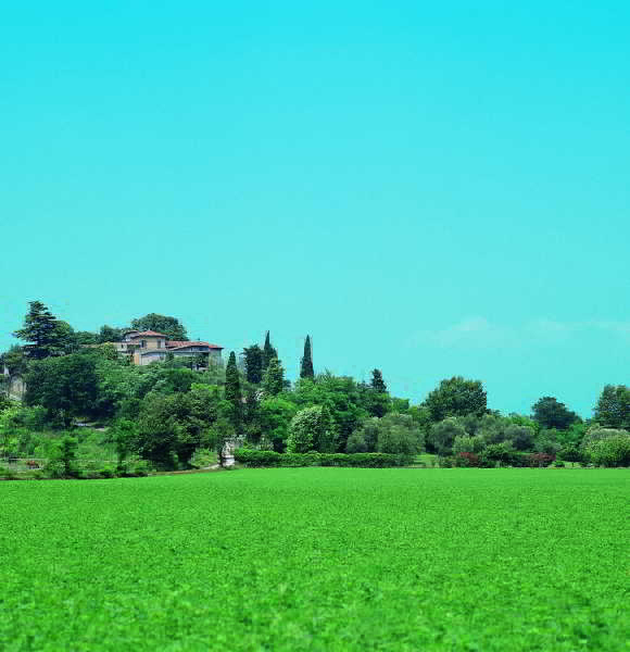 General view
General view
di Castello Belvedere Residence