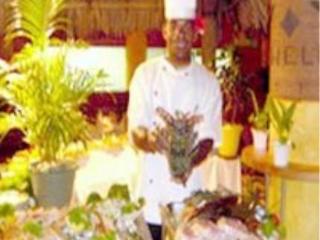 General view
General view
di Mana Island Resort Spa