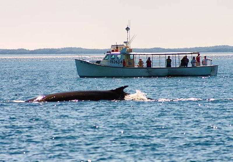 General view
General view
di The Algonquin Resort St. Andrews by-the-Sea