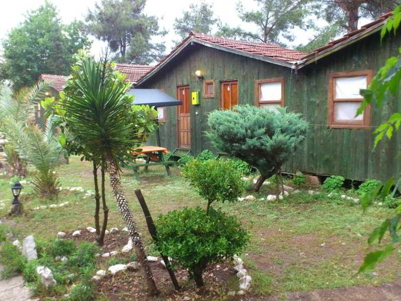 General view
General view
di Captain Eudemos House