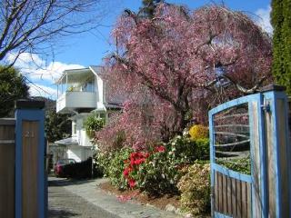 General view
General view
di Shelbourne Villa Nelson
