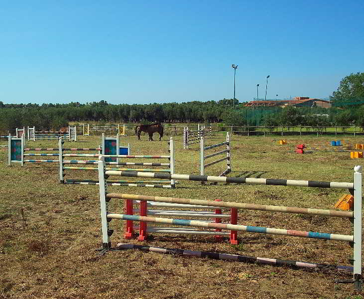 Sports and Entertainment
Sports and Entertainment
di Corte dei Greci Resort & SPA