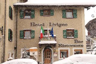 Hotel Livigno image 1