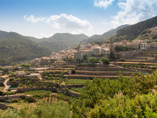 Sa Baronia