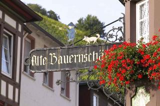 AKZENT Hotel Berg's Alte Bauernschanke- Wellness und Wein image 1
