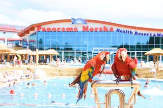 Pool
Pool
di Health Resort & Medical Spa Panorama Morska