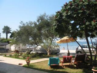 General view
General view
di Villa Triana