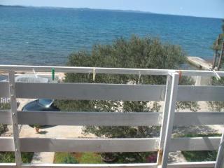 General view
General view
di Villa Triana