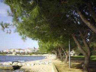 General view
General view
di Villa Triana