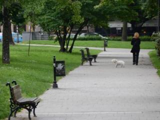 General view
General view
di Apartments Belgrade Center Dobrinjska