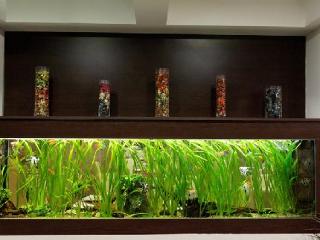 General view
General view
di Resort Holiday Spa & Welness Perla