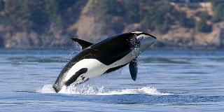 DoubleTree by Hilton Victoria