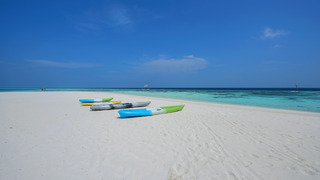 Aaaveee Nature's Paradise