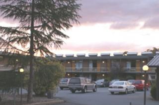 Red Cedars Motel image 1