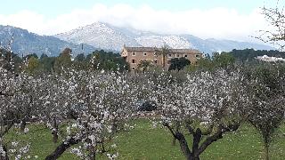 Finca Hotel Can Estades