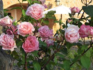 Finca Hotel Can Estades