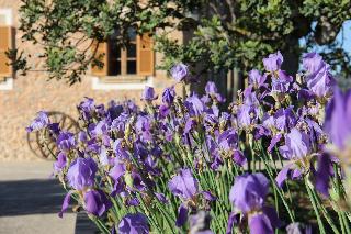 Finca Hotel Can Estades
