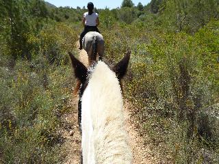 Finca Hotel Can Estades
