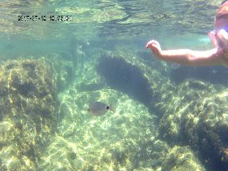 Finca Hotel Can Estades