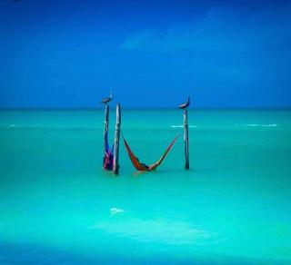 Moon Dreams Yum Balam