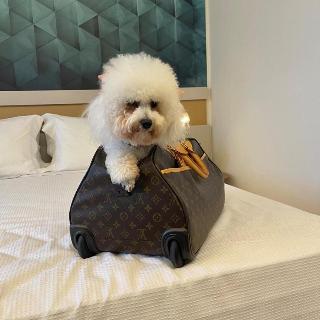 Intercity Portofino Florianopolis