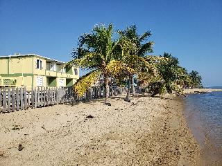 PAL'S on the beach 단그리가 Belize thumbnail