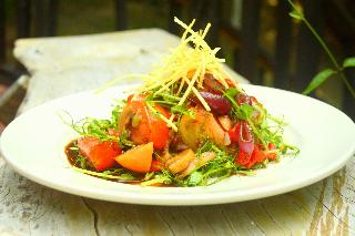 Table Rock Jungle Lodge