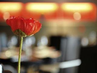 General view
General view
di Mercure Brussels Airport