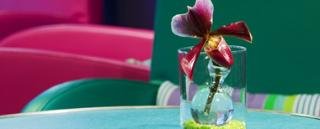 General view
General view
di Suite Novotel Geneve