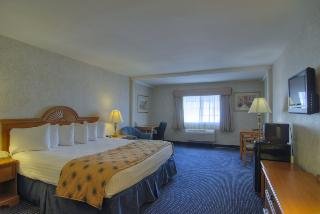 General view
 di Best Western Crystal Palace Inn & Suites
