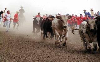 General view
General view
di Best Western Strathmore Inn