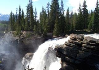 General view
General view
di Best Western White Wolf Inn