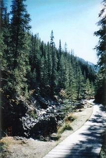 General view
General view
di Best Western White Wolf Inn