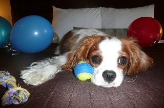 General view
General view
di Best Western Rimstone Ridge Hotel