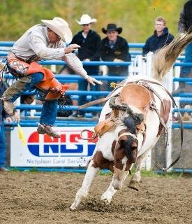 General view
General view
di Best Western Rimstone Ridge Hotel