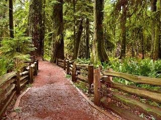 General view
General view
di Best Western Plus Barclay Hotel