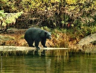 General view
General view
di Best Western Plus Barclay Hotel