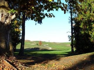 General view
General view
di Best Western Plus Chemainus Inn