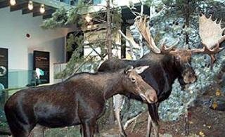 General view
General view
di Best Western Pembroke Inn & Conference Centre