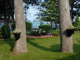 General view
 di Best Western Country Squire Resort