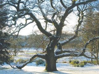 General view
General view
di Best Western Moffat House Hotel